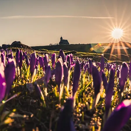 Semesterbostad Koca Zlatorog - Velika Planina *