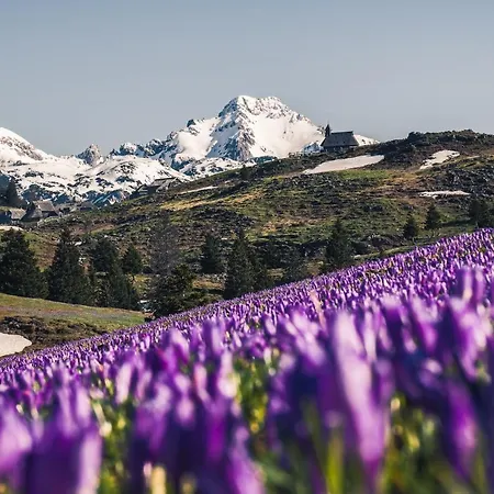 Koca Zlatorog - Velika Planina Nyaraló