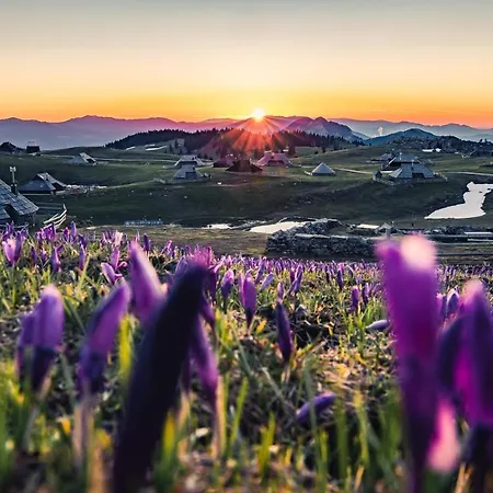 Koca Zlatorog - Velika Planina