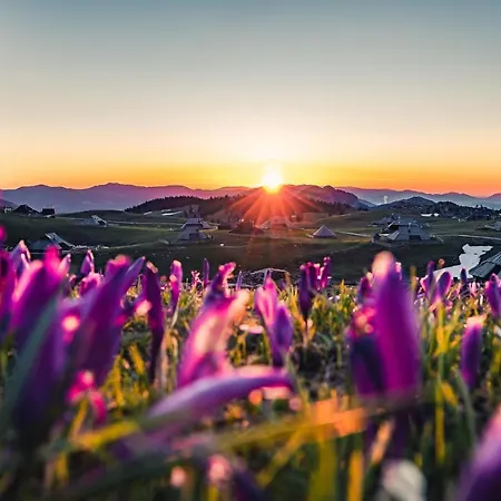Koca Zlatorog - Velika Planina *