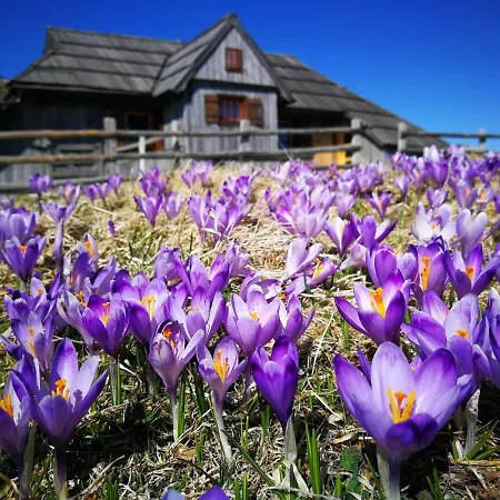 Koca Zlatorog - Velika Planina Holiday home *