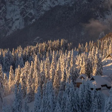 Koca Zlatorog - Velika Planina Semesterbostad Stahovica