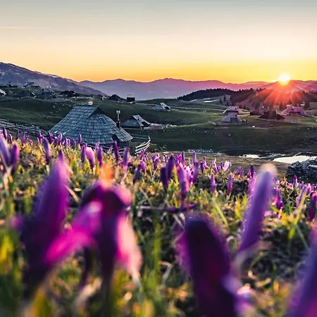 Semesterbostad Koca Zlatorog - Velika Planina *