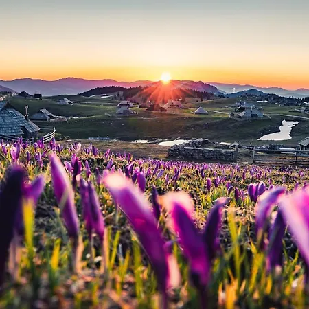 Koca Zlatorog - Velika Planina Nyaraló *