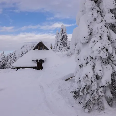 Koca Zlatorog - Velika Planina *
