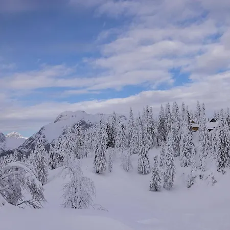 Koca Zlatorog - Velika Planina *
