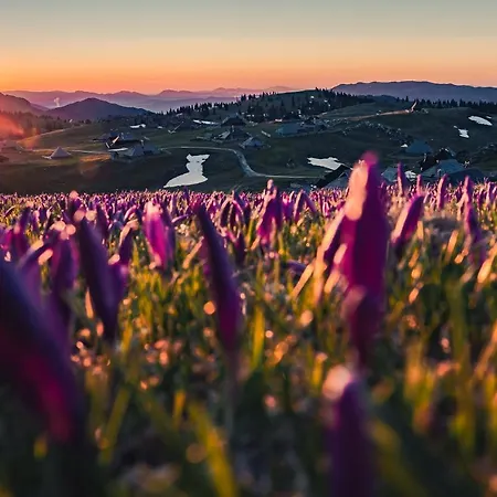 Koca Zlatorog - Velika Planina Semesterbostad Stahovica