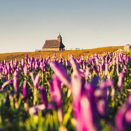Koca Zlatorog - Velika Planina Semesterbostad