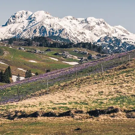 Semesterbostad Koca Zlatorog - Velika Planina