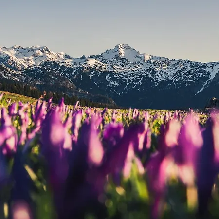 Nyaraló Koca Zlatorog - Velika Planina *