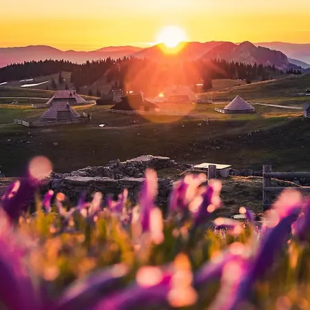 Koca Zlatorog - Velika Planina *