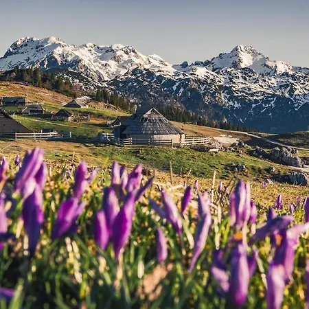 Semesterbostad Koca Zlatorog - Velika Planina