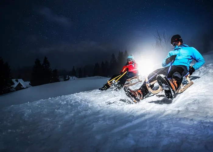 Koca Zlatorog - Velika Planina Prázdninový dům *