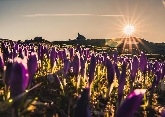 Prázdninový dům Koca Zlatorog - Velika Planina *