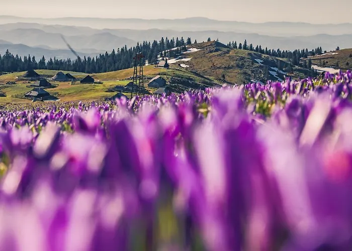 Prázdninový dům Koca Zlatorog - Velika Planina