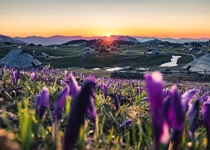 Koca Zlatorog - Velika Planina