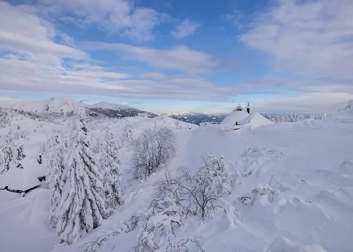 Prázdninový dům Koca Zlatorog - Velika Planina Stahovica