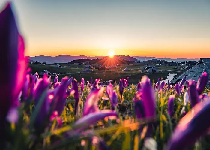 Koca Zlatorog - Velika Planina *