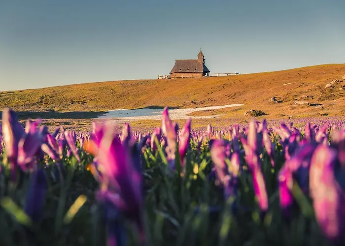 Prázdninový dům Koca Zlatorog - Velika Planina