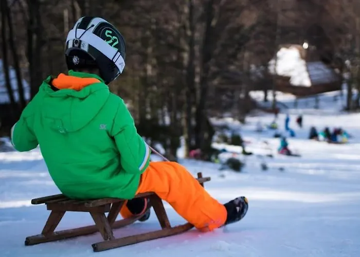 Koca Zlatorog - Velika Planina Prázdninový dům