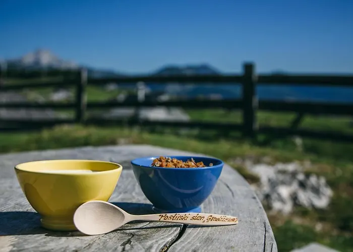 Koca Zlatorog - Velika Planina Prázdninový dům Stahovica