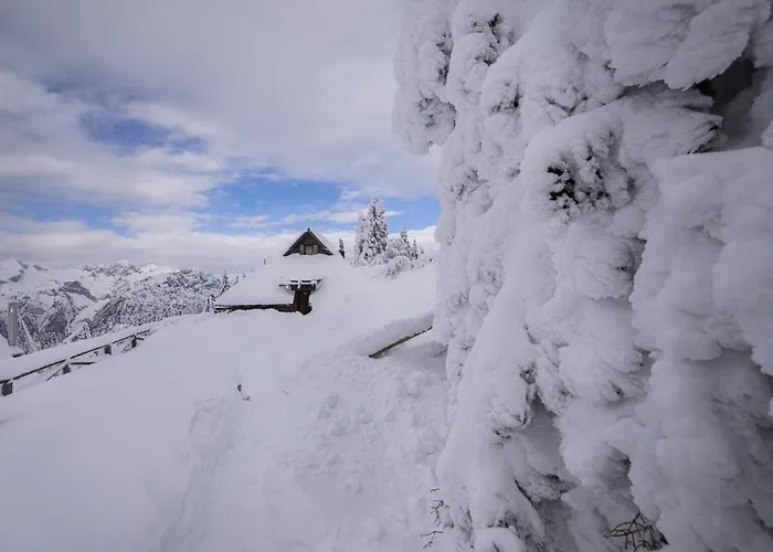 Koca Zlatorog - Velika Planina Prázdninový dům Stahovica