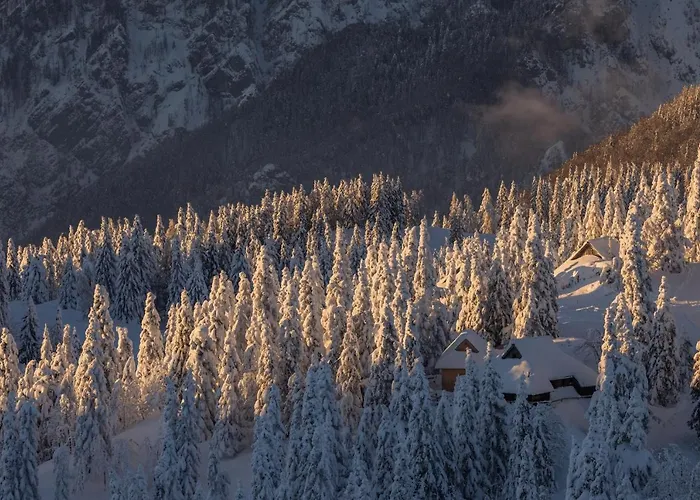 Koca Zlatorog - Velika Planina بيت للعطل Stahovica