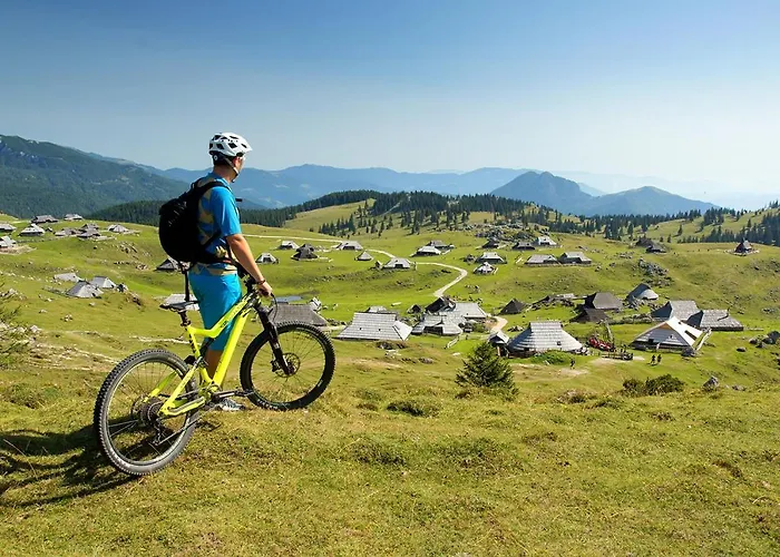 Prázdninový dům Koca Zlatorog - Velika Planina *