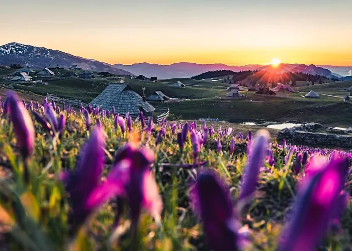 بيت للعطل Koca Zlatorog - Velika Planina *