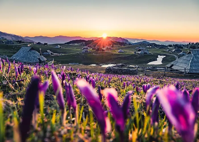 Koca Zlatorog - Velika Planina بيت للعطل *