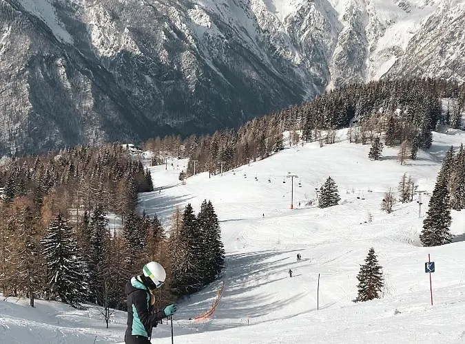 Prázdninový dům Koca Zlatorog - Velika Planina Stahovica