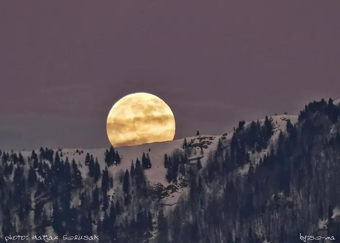 Koca Zlatorog - Velika Planina بيت للعطل Stahovica