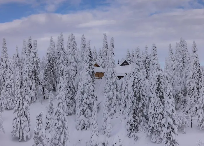 Koca Zlatorog - Velika Planina Prázdninový dům Stahovica