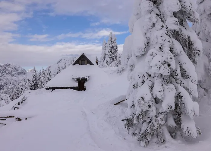 Koca Zlatorog - Velika Planina *