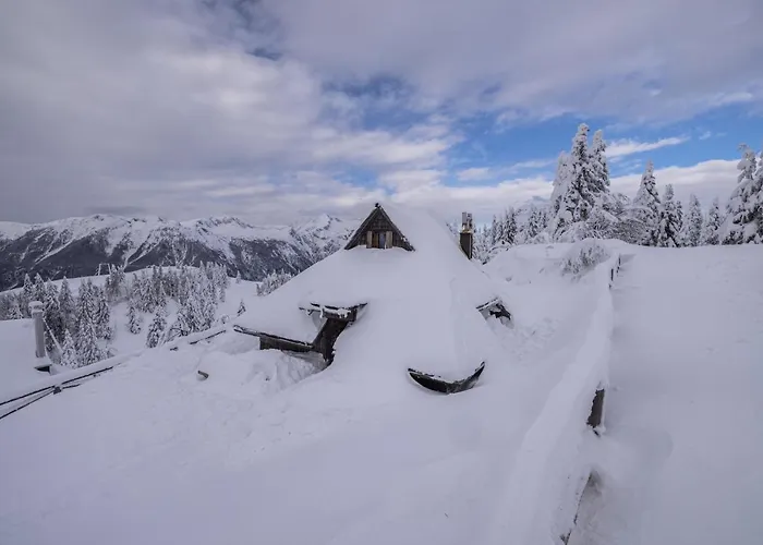 Prázdninový dům Koca Zlatorog - Velika Planina