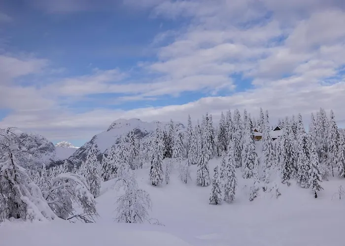 Koca Zlatorog - Velika Planina *