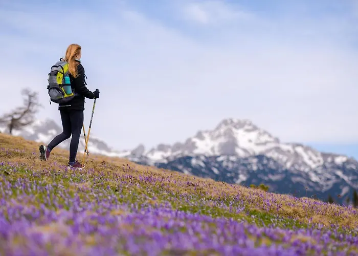 Prázdninový dům Koca Zlatorog - Velika Planina