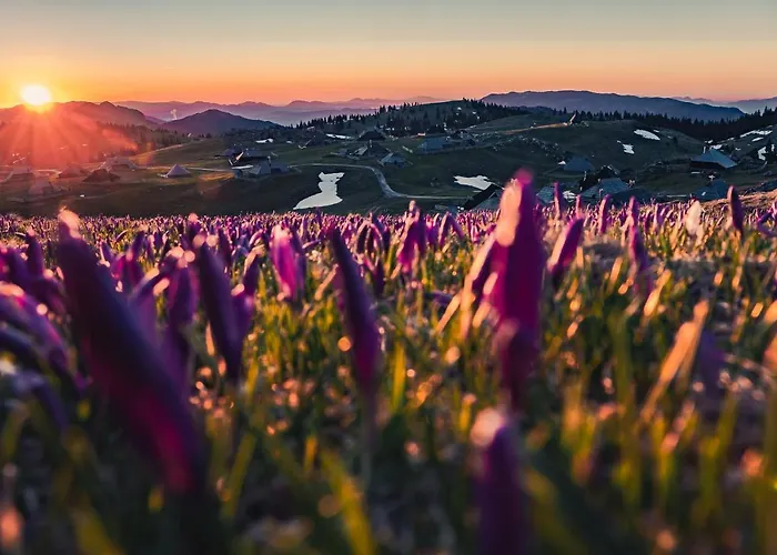 Koca Zlatorog - Velika Planina Prázdninový dům Stahovica