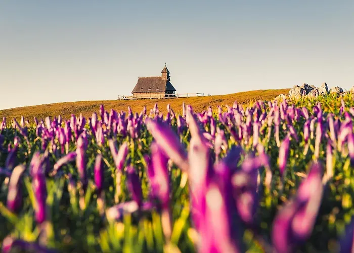 Koca Zlatorog - Velika Planina Prázdninový dům
