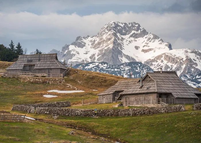 Koca Zlatorog - Velika Planina Stahovica