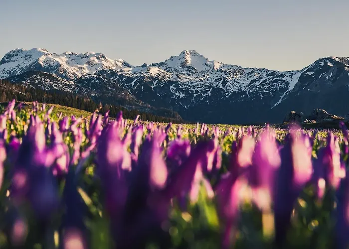 بيت للعطل Koca Zlatorog - Velika Planina *
