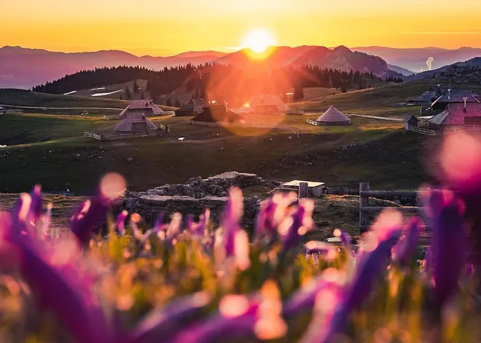Koca Zlatorog - Velika Planina *