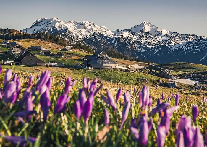 Prázdninový dům Koca Zlatorog - Velika Planina