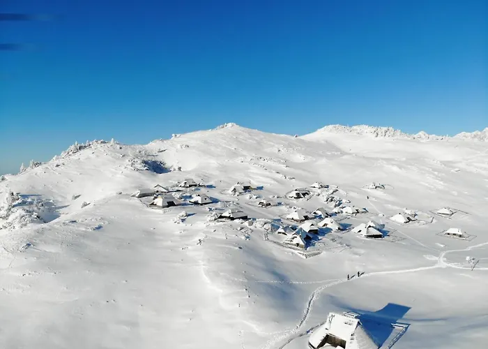 Prázdninový dům Koca Zlatorog - Velika Planina